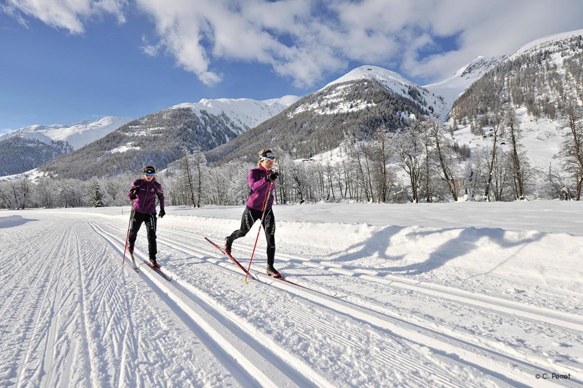 Appartmenthaus Bergfreund Fiesch Kültér fotó